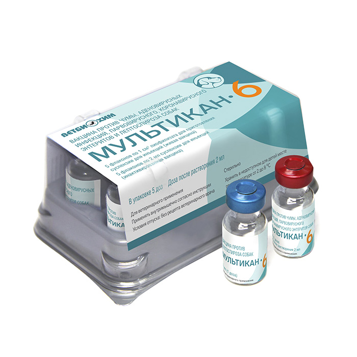 Вакцина МУЛЬТИКАН-6 1 доза