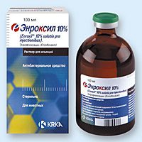 Энроксил 10% 100 мл