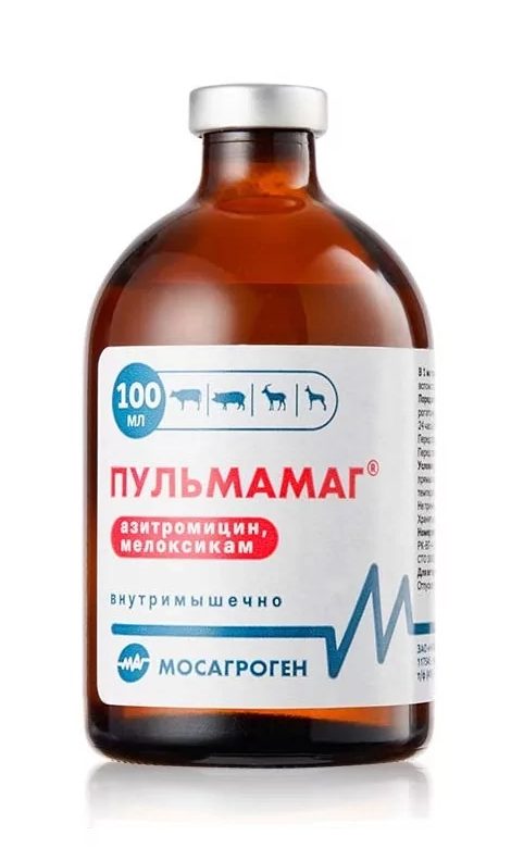 Пульмамаг 100 мл