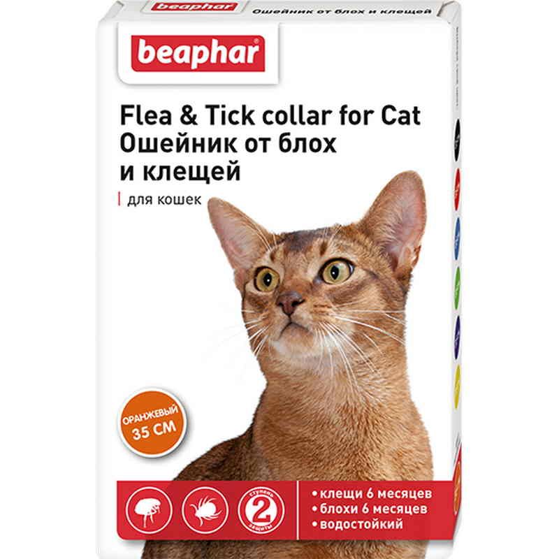 Ошейник Беафар для кошек от блох оранжевый